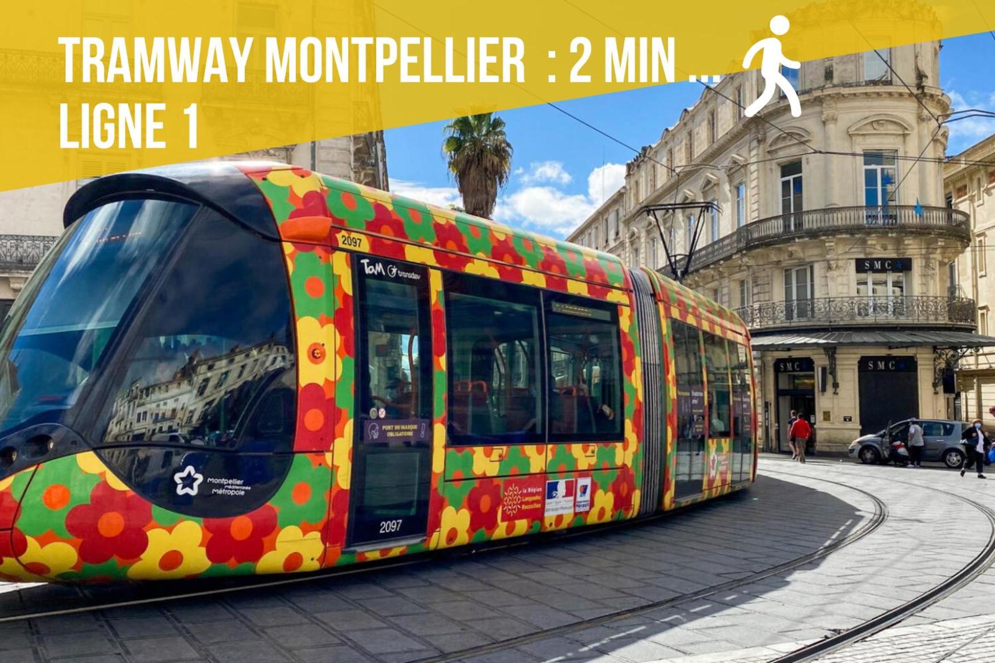 Le Chapeau Rouge - Centre Historique - Corum - Tramway - Climatisation Montpellier Eksteriør bilde